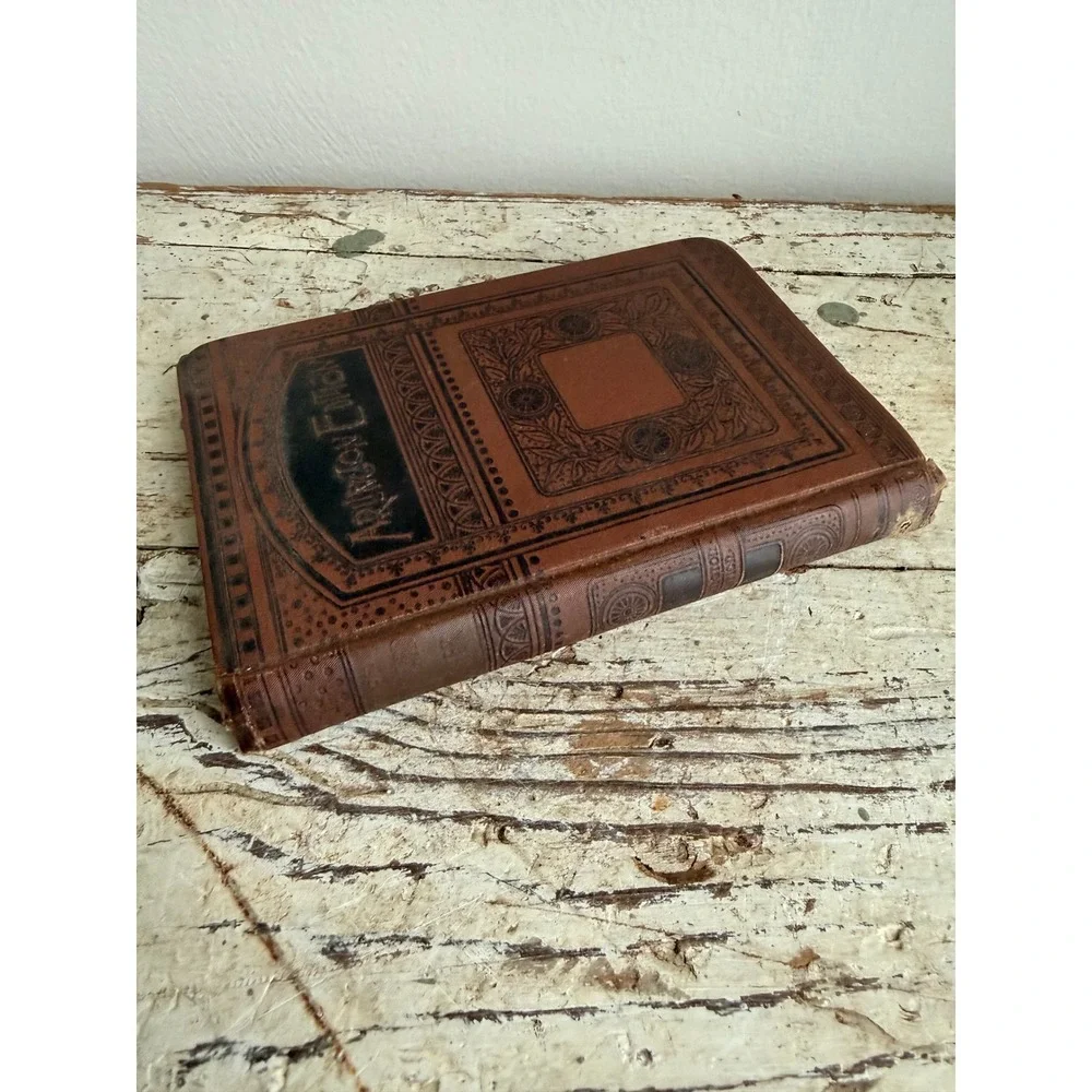 The Life of Henry Ward Beecher Arlington Edition Hurst & Co Biography Hardcover